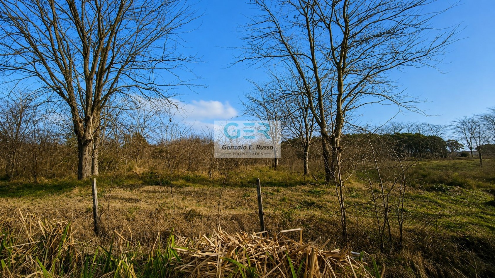 Venta 3,4 Hectareas En Guernica, A Pocos Metros De Ruta 210