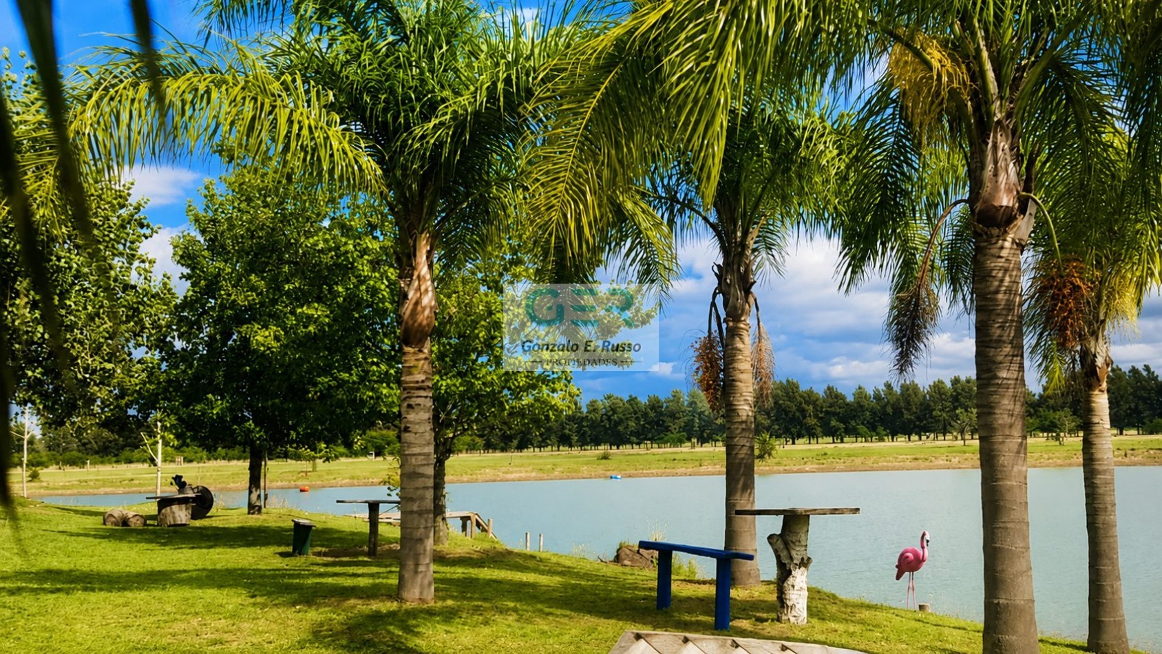 Venta 102 Hectareas Con Proyecto Avanzado En San Vicente