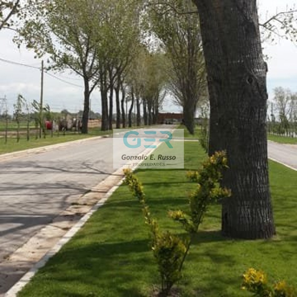 Venta Lote En Barrio Privado La Alameda - Canning