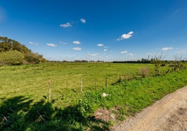 42 Hectareas En Venta En La Union, Ezeiza